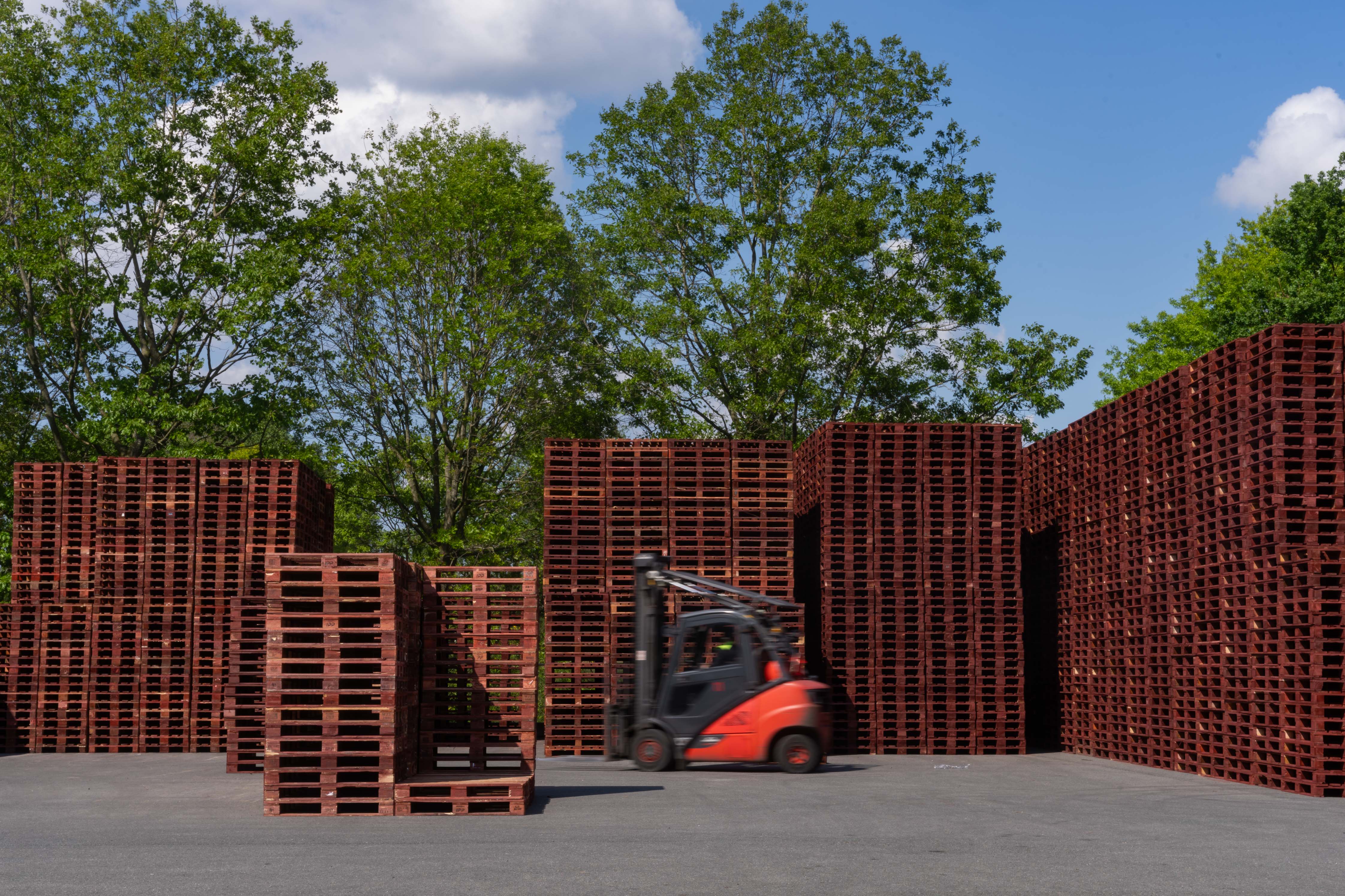 IPP 050715595202496SVS