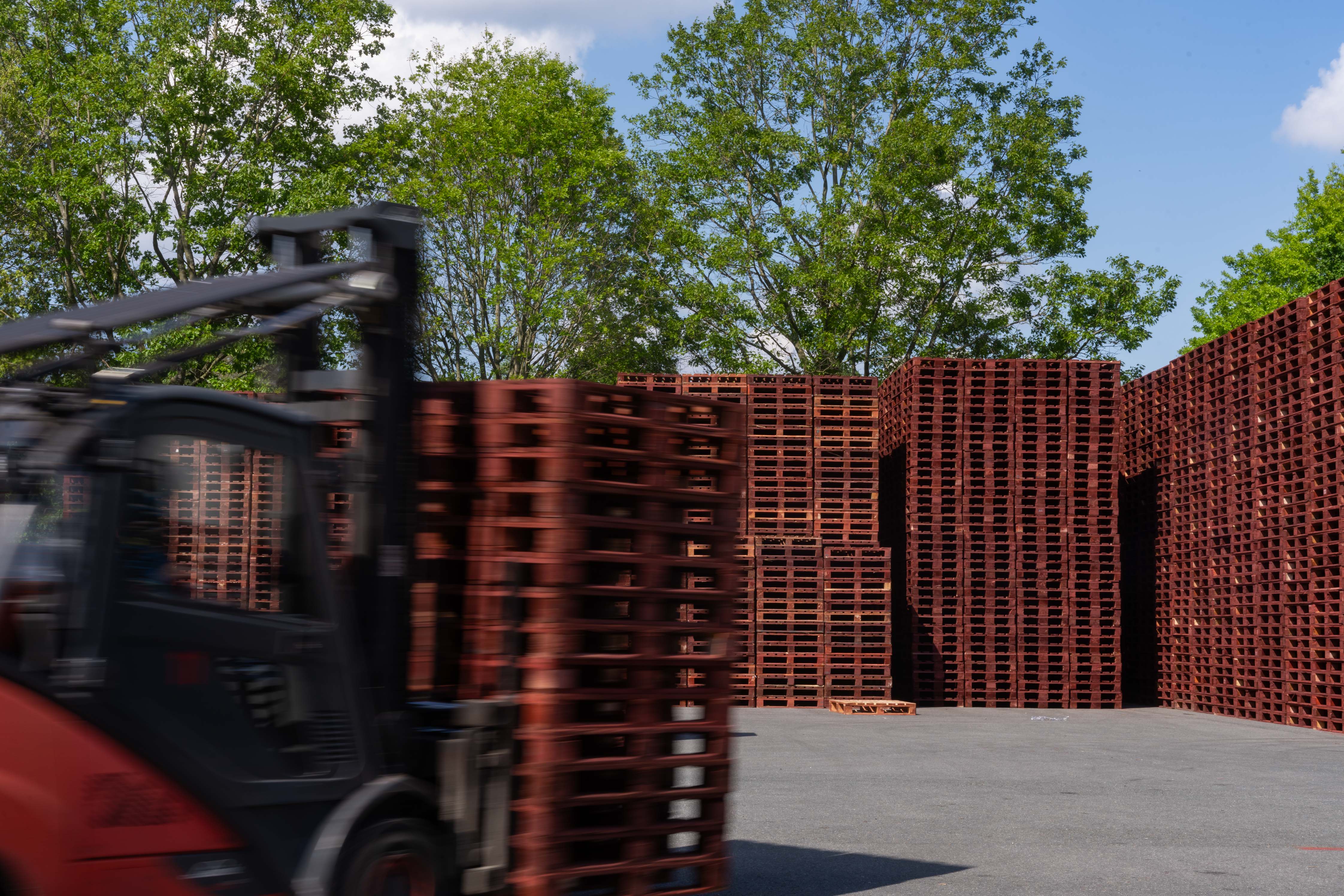 IPP 050715593002482SVS